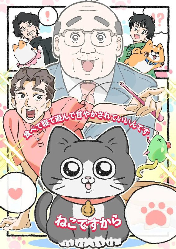 名称：转生成猫的大叔(2024) 更新至31集描述：明明是个很普通的上班族，但有一天突然转生为猫的大叔