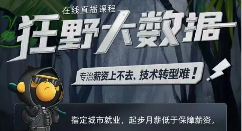 名称：【黑马程序员】大数据直播课-狂野大数据描述：聚集多位Apache 社区贡献者及大厂技术讲师，联合推出行业重磅Python大数据