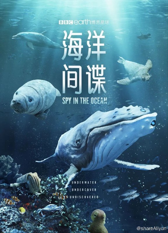 名称：海洋间谍（达人中心互助，保存以后不看就删除，下面留言你的链接）描述：“间谍生物”又来了！ 这一次，间谍相机带着当今最尖端的拍摄技术，前往海洋深处，迎接它们迄今为止最激动人心的挑战，探索地球上最神奇且最具活力的环境之一，海洋