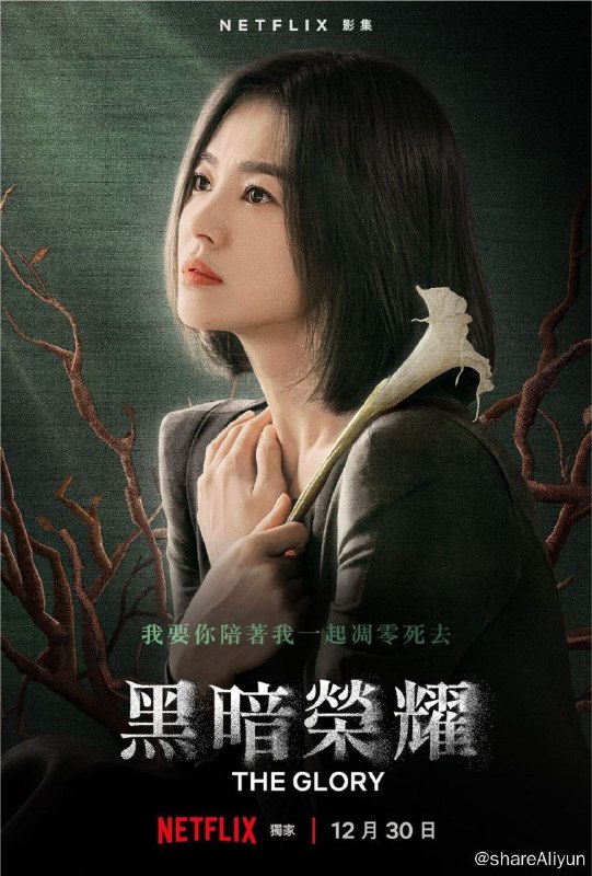 名称：黑暗荣耀 2季全 4K HDR 中字内嵌字幕描述：梦想成为一名建筑师的文东恩（宋慧乔 饰），高中时期因遭受校园暴力而不得不退学，随后等到加害主谋结婚，其孩子升入小学之后