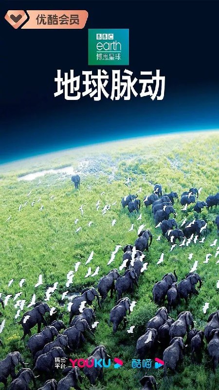 名称：地球脉动 第一季 Planet Earth Season 1 (2006)描述：BBC曾经制作出《蓝色星球》的纪录片摄影团队，再次集结奉上了这部堪称难以超越的经典纪录片《地球脉动》
