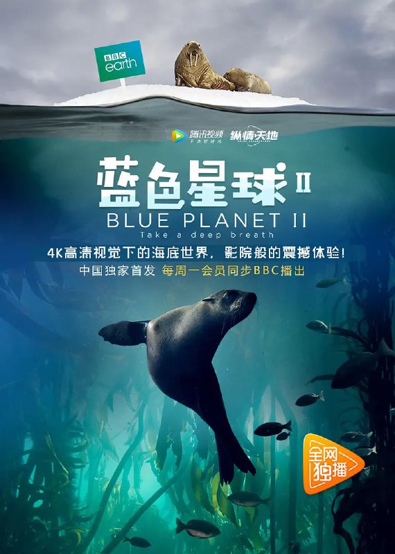 名称：蓝色星球 第二季 Blue Planet Season 2 (2017) 4K描述：《蓝色星球II》将由大卫·爱登堡爵士主持