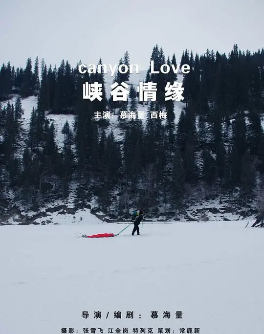 名称：峡谷情缘 (2024)描述：冰山雪岭、荒无人烟的幽幽峡谷中,前去看望爱妻的苏东遇到了身受重伤的植物学家王丽娜;他面对生与死,道德与良知,理性和欲望的种种考量,一路绝地求生,突破更事困难;丽娜虽然中途醒来,但为了保护苏东再次被冻俑;他们最终能否走出去?还看峡谷情缘链接：