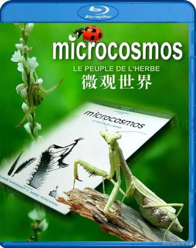 名称：微观世界 (1996) 720P描述：导演用不凡的拍摄技巧引领我们进入了昆虫的世界
