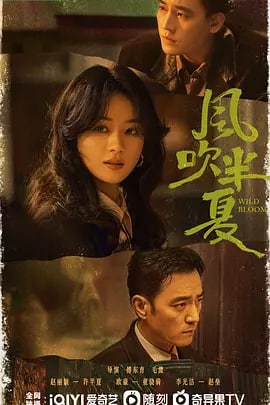 名称：风吹半夏 (2022) 大结束描述：该剧改编自阿耐的小说《不得往生》
